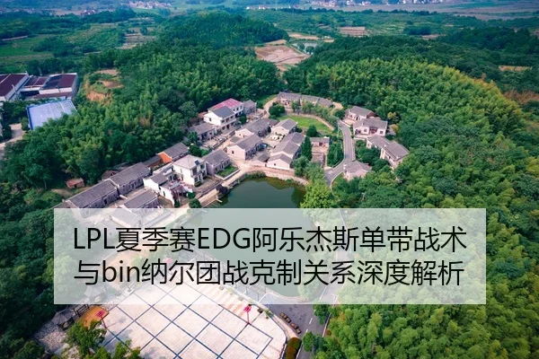 LPL夏季赛EDG阿乐杰斯单带战术与bin纳尔团战克制关系深度解析