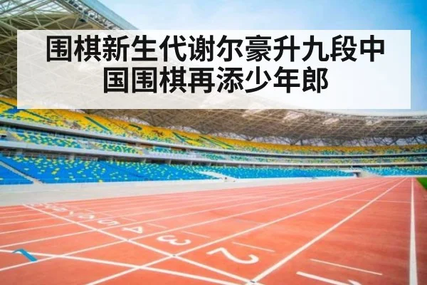 围棋新生代谢尔豪升九段中国围棋再添少年郎